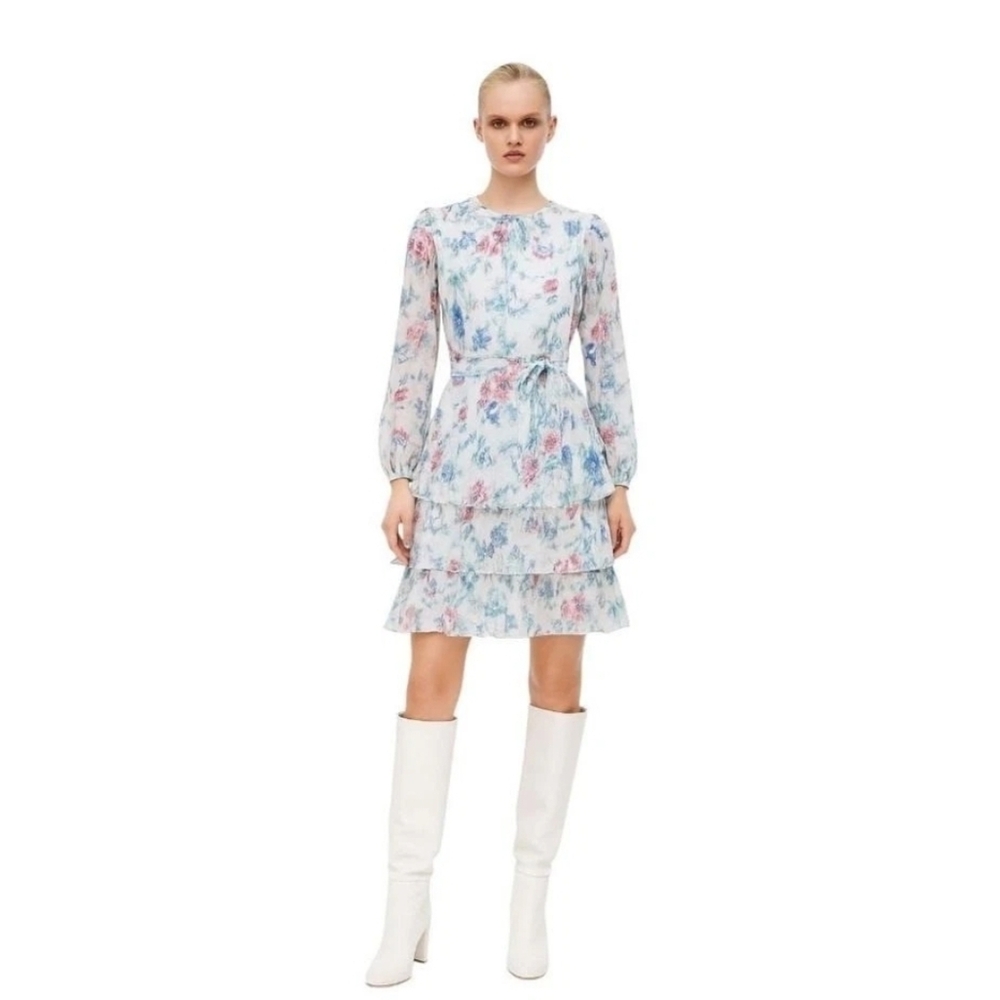 VICI - Chiffon Floral Ruffle Long Sleeve Above the Knee Dress‎